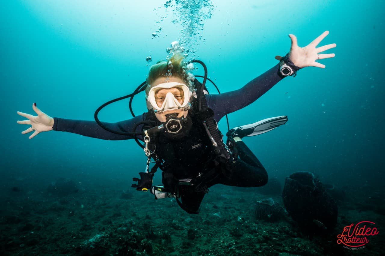 PADI Scuba Diver