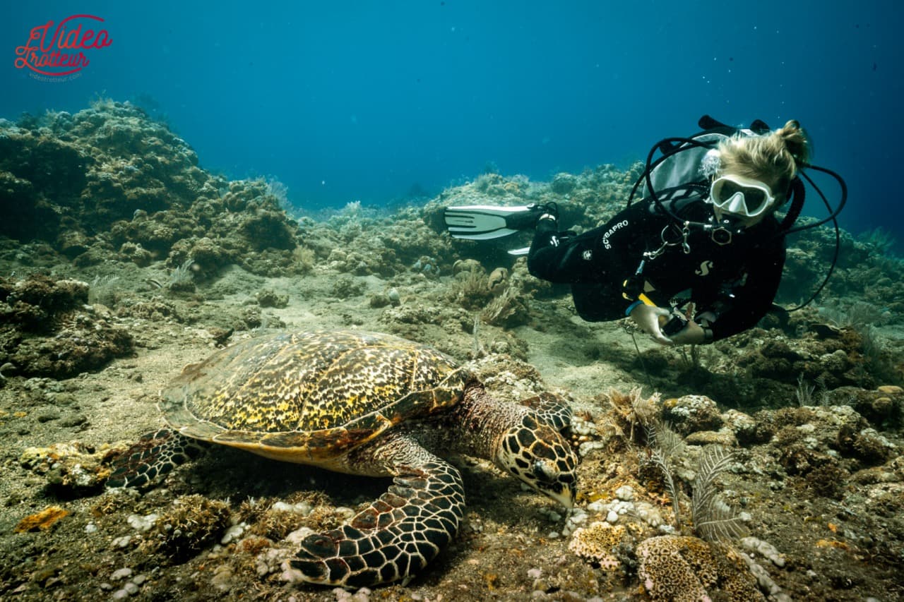 PADI Advanced Open Water Diver