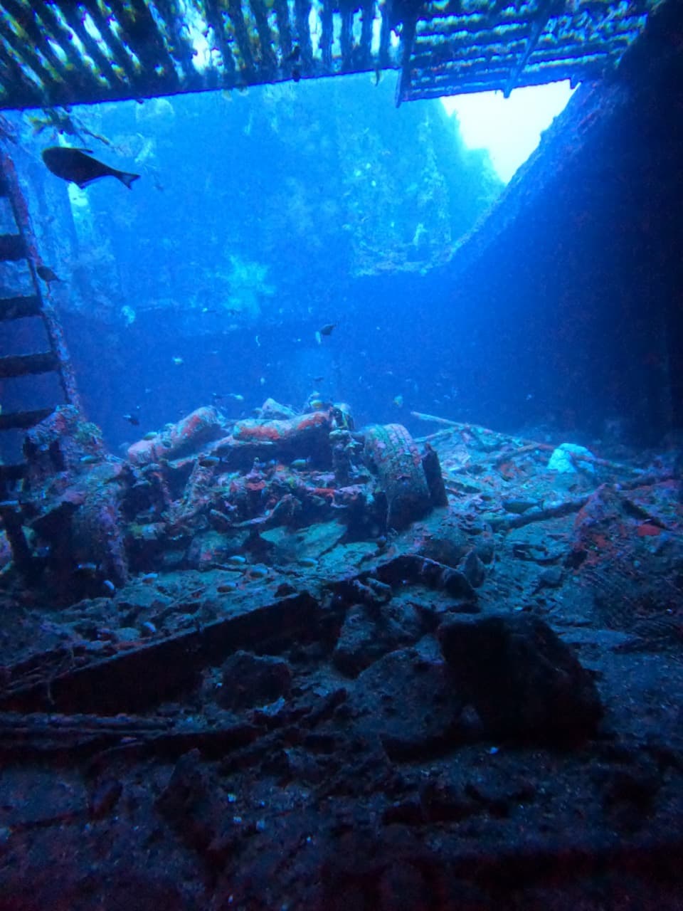 1772699017213-6b_Kubu-wreck-dive-site.jpeg