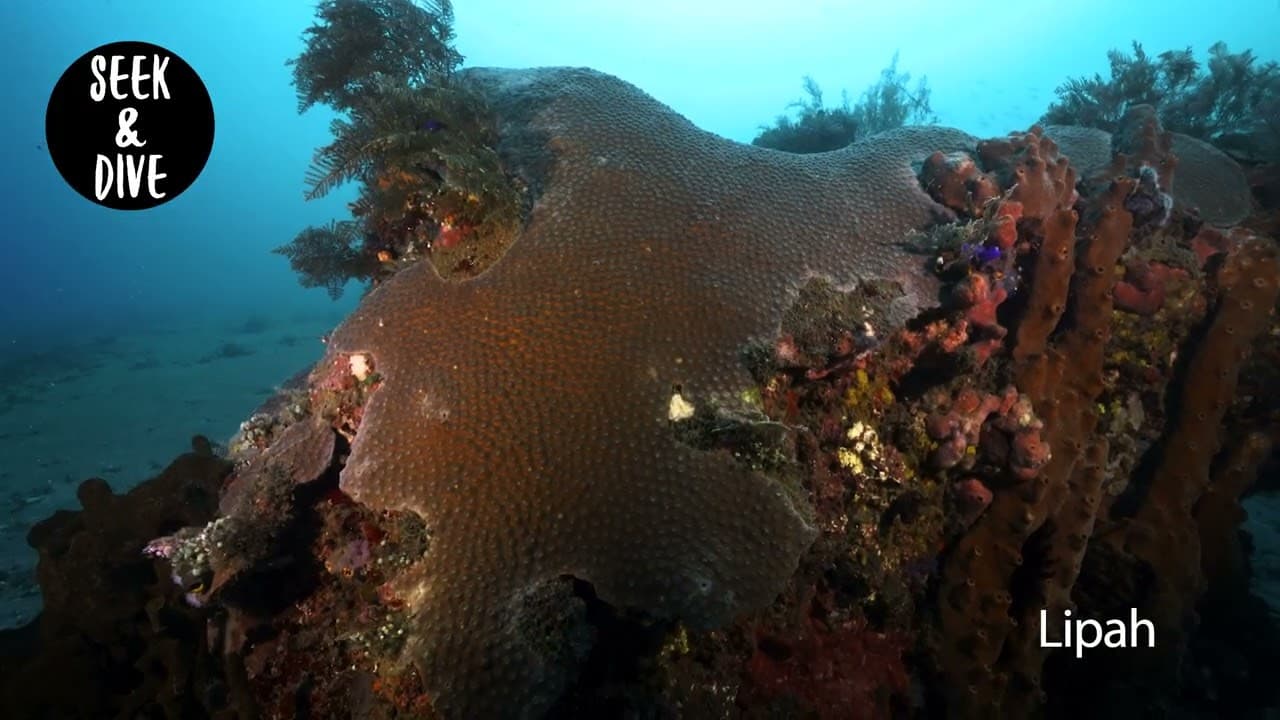 Lipah Amed dive site